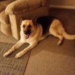 Robert Howington - @howingtonrobert - Instagram