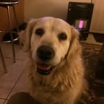 Robert Hucker - @rnhucker - Instagram