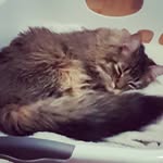 Robert H - @roberthuestis_ - Instagram