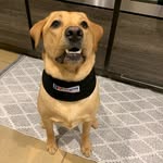 Robert Tank Hughes - @roberthughesplumbing - Instagram