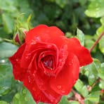 Robert Hogan - Facebook