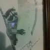 Robert Hunneman - @roberthunneman - TikTok