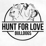 Robert Hunt - @hunt_for_love_bulldogs - Instagram