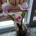 Robert Hunter - Facebook