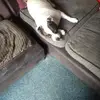 Robert Hunter - @robert.hunter87 - TikTok