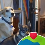Robert Hurrell - @hurrellpanelbeaters - Instagram