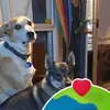 Robert Hurrell - @robert.hurrell - TikTok