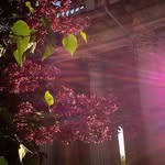 Robert Husband - @accouremonsdia488 - Instagram