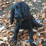 Robert Hutton - @robert.hutton.12 - Instagram
