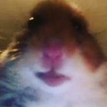 Robert Ilić - @robeeee - Instagram