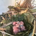 Robert Imhoff - @robert_imhoff66 - Instagram