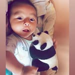 Robert Infante - @robertinfante44 - Instagram