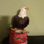 Robert Ingle - @robert.ingle.921 - Instagram