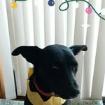 Robert Ingle - @robert.ingle.927 - Instagram