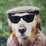 Robert Ingle - @ingle8737 - Instagram
