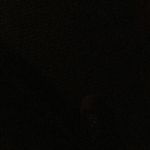 Robert ingle - @robert_ingle_spamm - Instagram