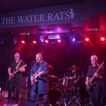Robert Inglis - @harmonicswamp - Instagram
