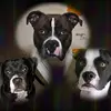 Robert Inskeep855 - @robertinskeep855 - TikTok