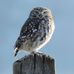 Robert Inskeep - Facebook