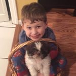 Robert Ippolito - @robertippolito8 - Instagram