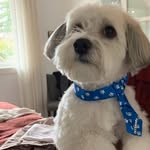 Robert David Iredale - @tacnav - Instagram