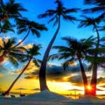 Robert Isabel - @robertisabel64 - Instagram