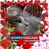 Roberta Isola - @robertaisola - TikTok