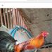 Robert Jacobo - Facebook