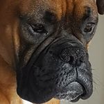 Robert Jakielski - @robertjakielski - Instagram