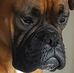 Robert Jakielski - Facebook
