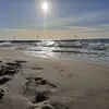 Robert Janik469 - @tommys399 - TikTok