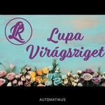 Róbert János Lupa - @luparobertjanos - Instagram