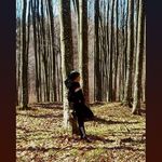 Robert Janosi - @robert.janosi.355 - Instagram