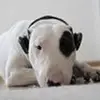 jarekrobertkowalczyk - @jarekrobertkowalczyk - TikTok