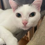 Robert Jaskiewicz - @bobbyjaske - Instagram