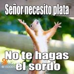 RobertJavier - @robertjavier790 - Instagram