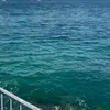 Roberto Jehle - @robertojehle6518 - TikTok