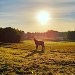 Robert Jemioła - @jemiolar - Instagram
