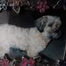 Robert Jennison - Facebook