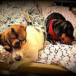 Robert Jensen - @robertjensen1976 - Instagram