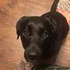 ✨ Jeremiah.Robert✨ - @jeremiah.robert24 - TikTok