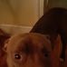 Robert Jester - Facebook