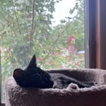 robert jimenez - @roobrtt - Instagram