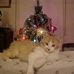Robert Jimerson - Facebook
