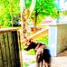 Rob Jenny Jirmnson - Facebook