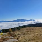 Robert Jöbstl - @jobstlrobert - Instagram