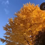 @robertjohnson3264695 - Instagram