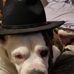 Robert Johnston - Facebook