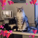 Robert Johnstone - @robert.johnstone.56 - Instagram