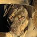 Robert Johnstone - Facebook